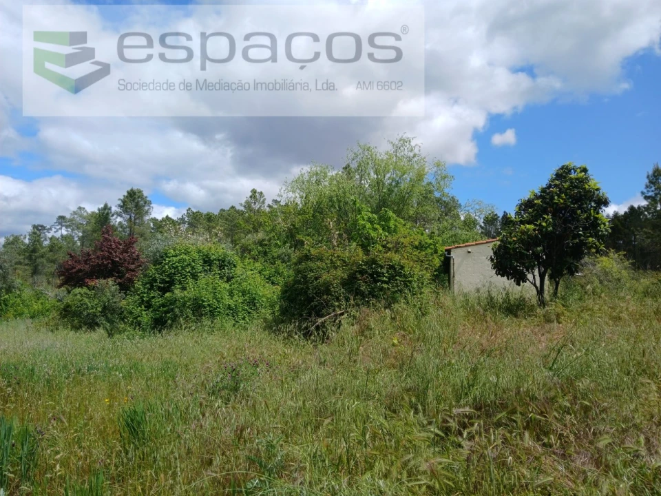 Quinta para Venda em Sarzedas Foto 24