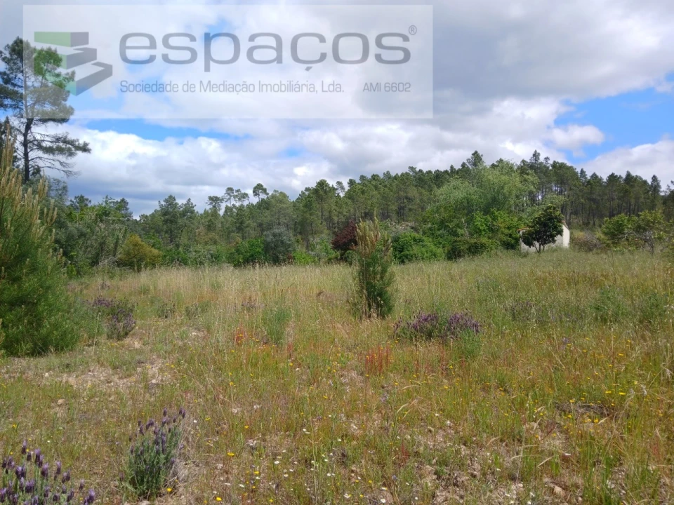 Quinta para Venda em Sarzedas Foto 5