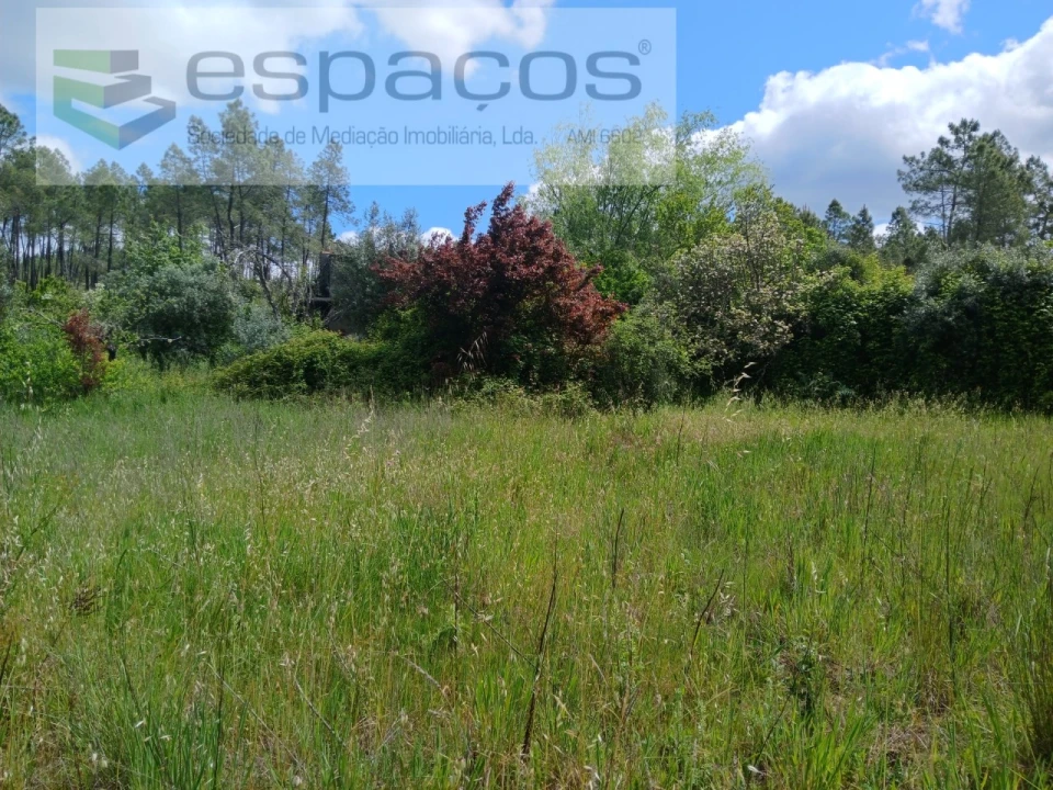 Quinta para Venda em Sarzedas Foto 25