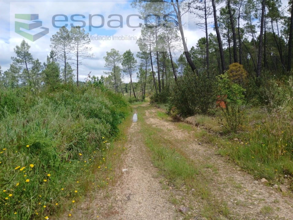 Quinta para Venda em Sarzedas Foto 29