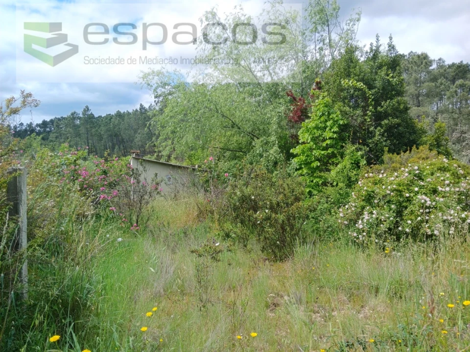 Quinta para Venda em Sarzedas Foto 31