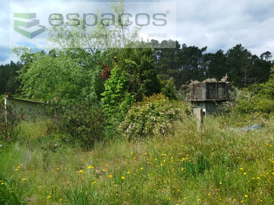 Quinta para Venda em Sarzedas Foto 4