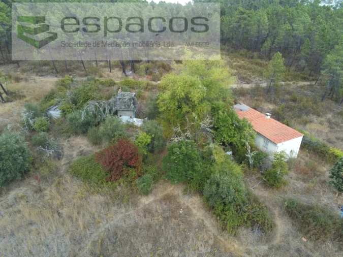 Quinta para Venda em Sarzedas Foto 3