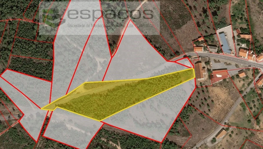 Quinta para Venda em Sarzedas Foto 28