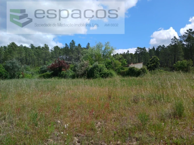 Quinta para Venda em Sarzedas Foto 20