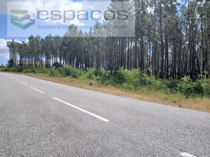 Quinta para Venda em Sarzedas Foto 13