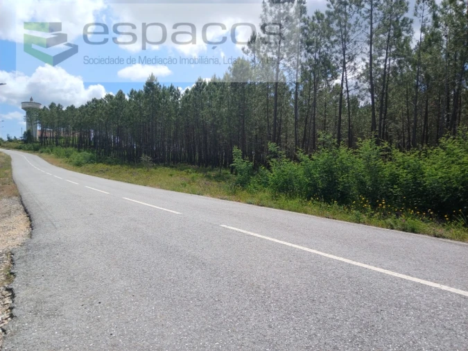 Quinta para Venda em Sarzedas Foto 21