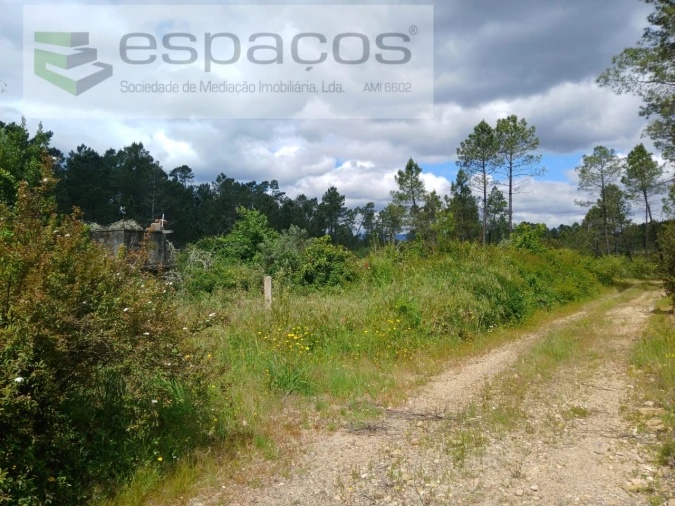 Quinta para Venda em Sarzedas Foto 18