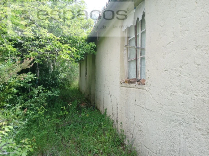 Quinta para Venda em Sarzedas Foto 7