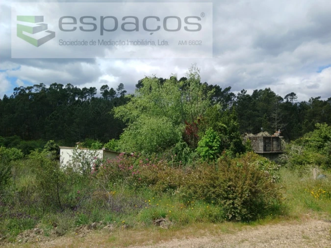 Quinta para Venda em Sarzedas Foto 32