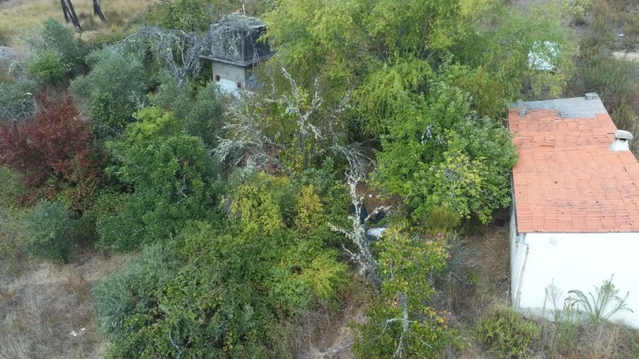 Quinta para Venda em Sarzedas