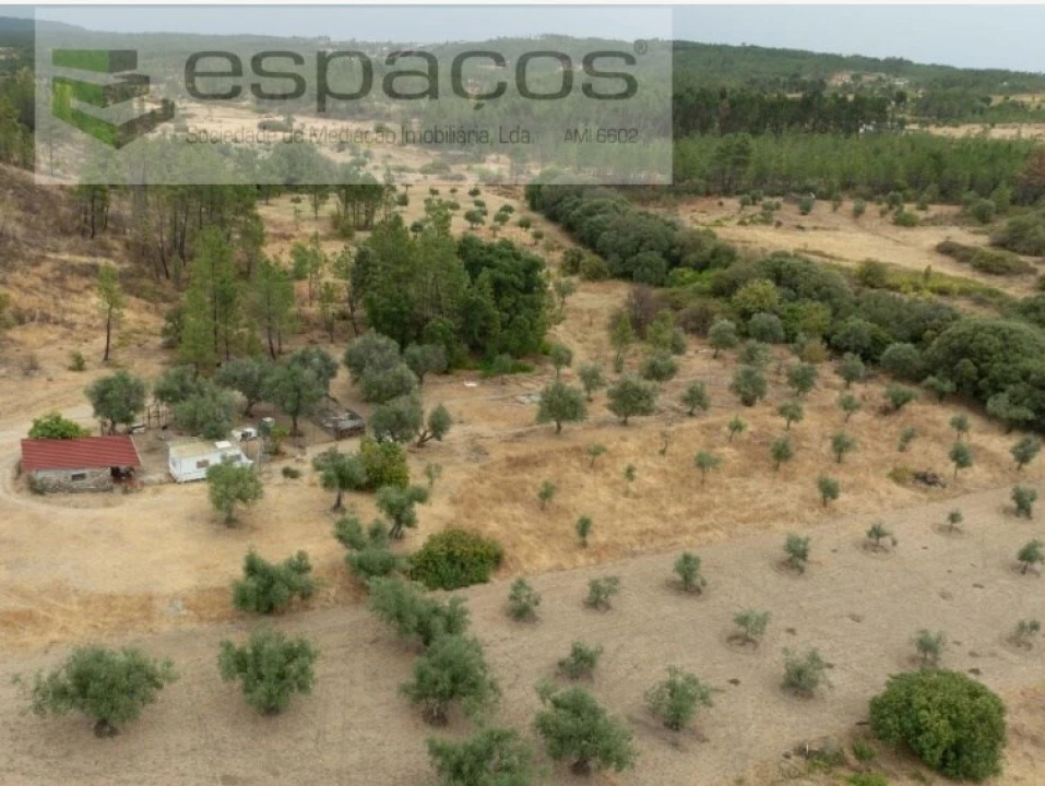 Quinta para Venda em Sarzedas Foto 6