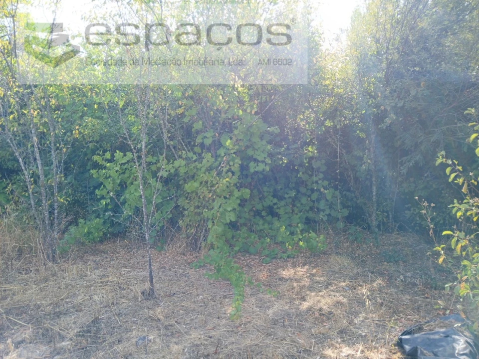 Quinta para Venda em Sarzedas Foto 21