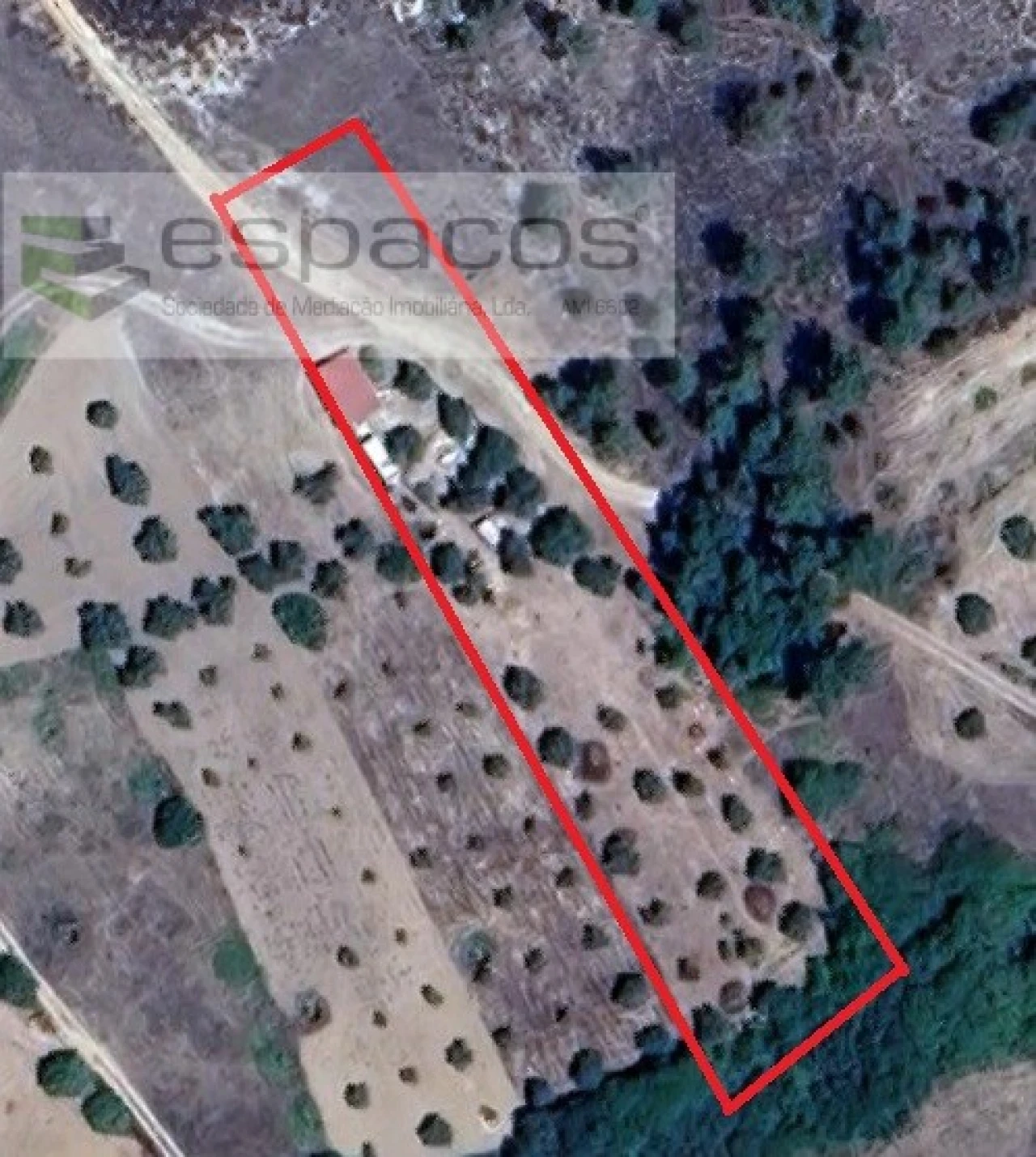 Quinta para Venda em Sarzedas Foto 23