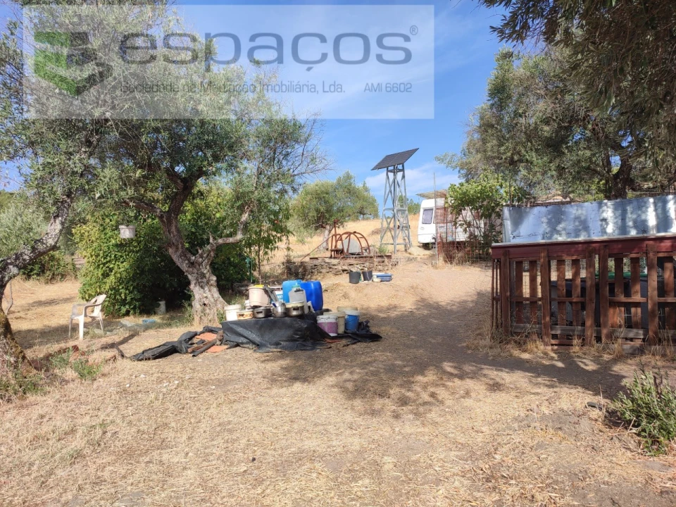 Quinta para Venda em Sarzedas Foto 12