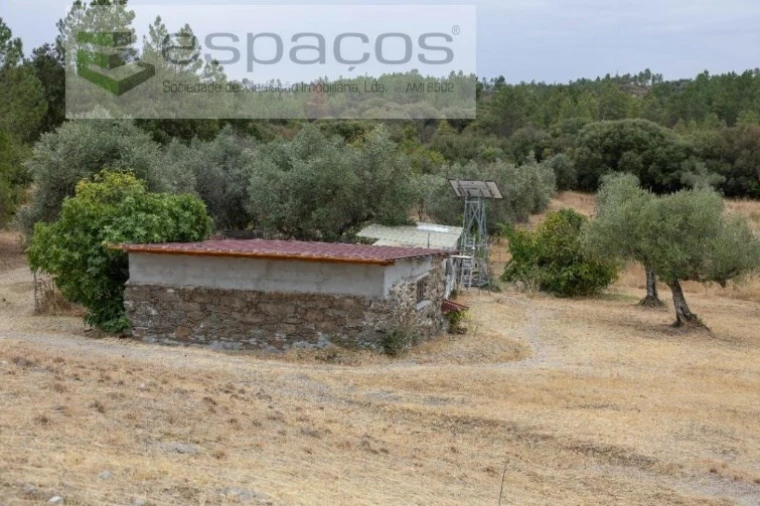 Quinta para Venda em Sarzedas Foto 5