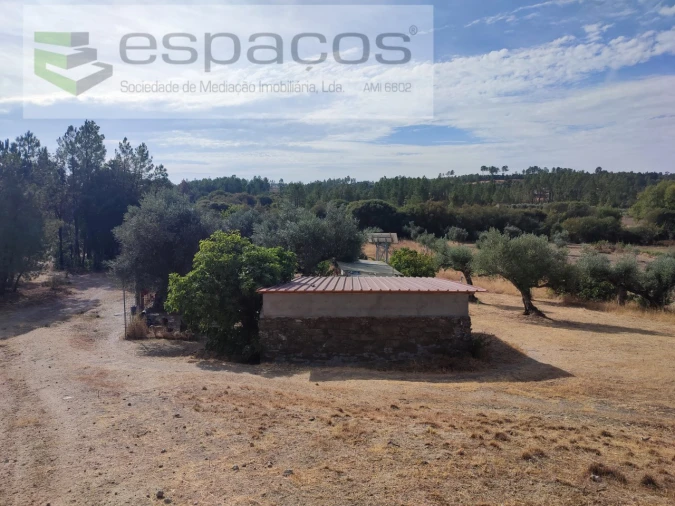 Quinta para Venda em Sarzedas