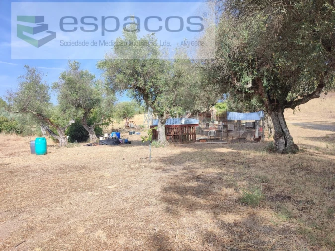 Quinta para Venda em Sarzedas Foto 9