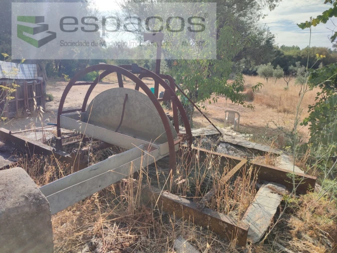 Quinta para Venda em Sarzedas Foto 11