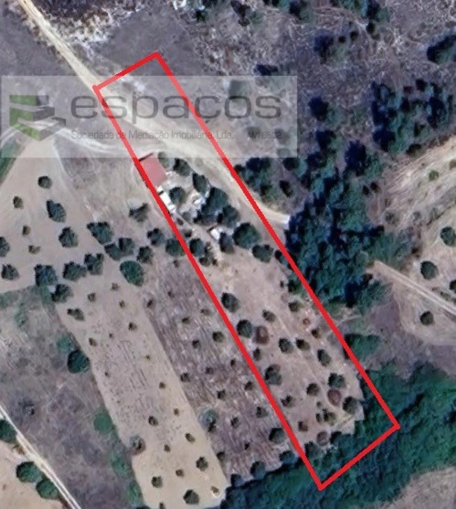 Quinta para Venda em Sarzedas Foto 23