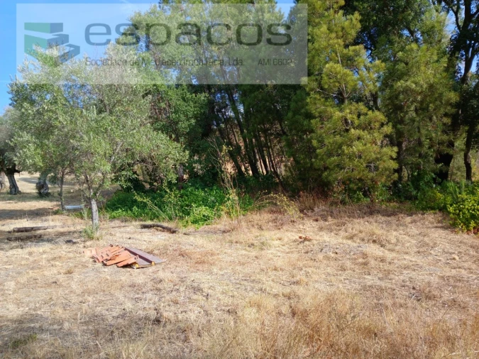 Quinta para Venda em Sarzedas Foto 15