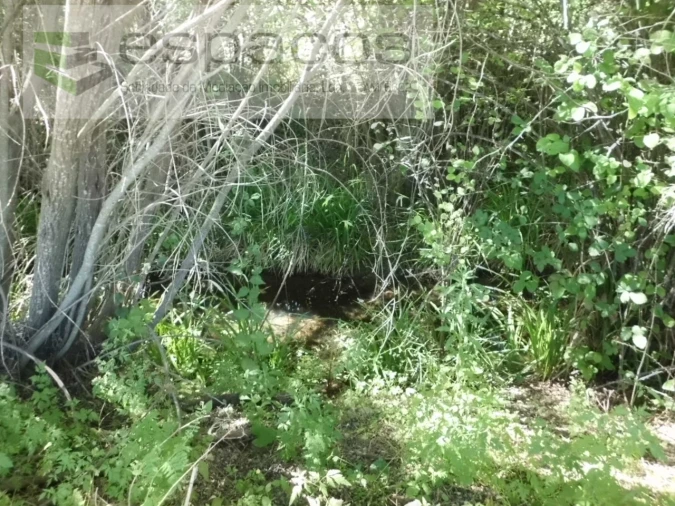 Quinta para Venda em Sarzedas Foto 22