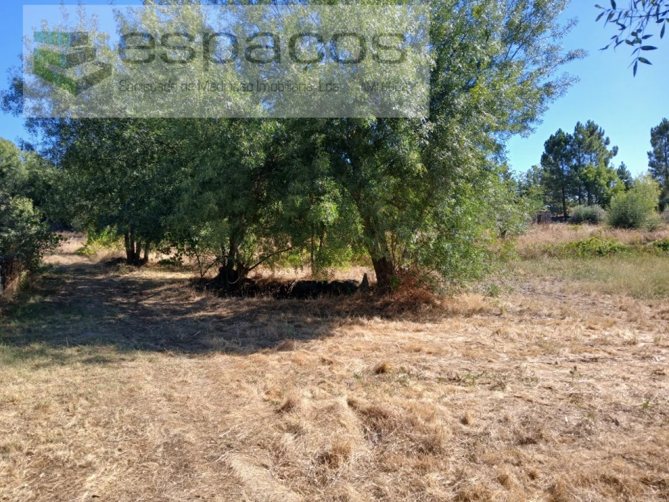 Quinta para Venda em Póvoa de Rio de Moinhos e Cafede Foto 4