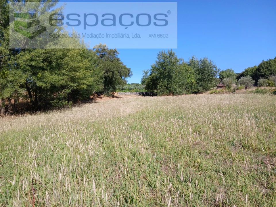 Quinta para Venda em Póvoa de Rio de Moinhos e Cafede Foto 6