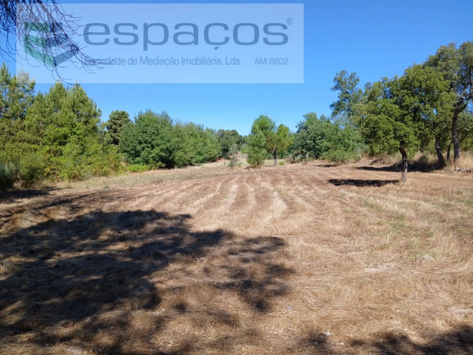 Quinta para Venda em Póvoa de Rio de Moinhos e Cafede Foto 10