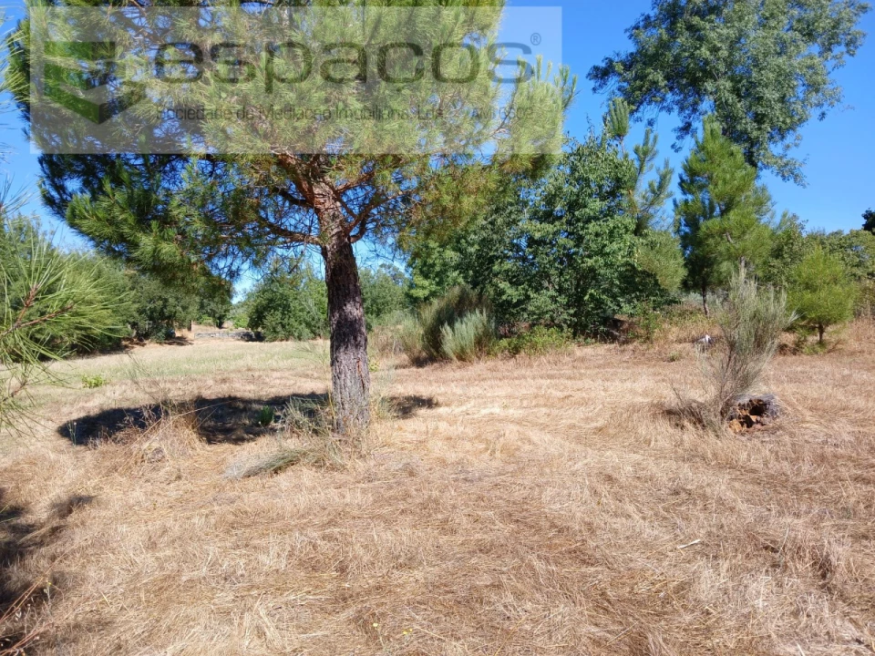 Quinta para Venda em Póvoa de Rio de Moinhos e Cafede Foto 12