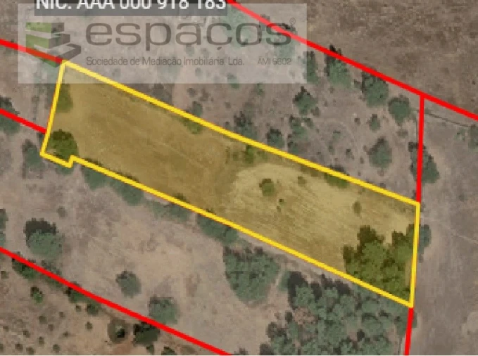 Quinta para Venda em Póvoa de Rio de Moinhos e Cafede Foto 17