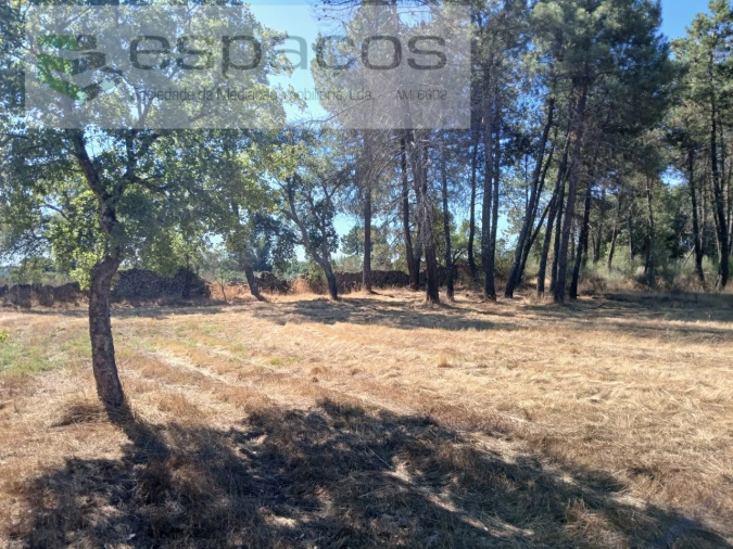 Quinta para Venda em Póvoa de Rio de Moinhos e Cafede Foto 7