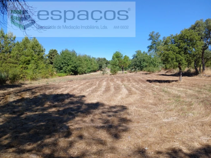 Quinta para Venda em Póvoa de Rio de Moinhos e Cafede Foto 10