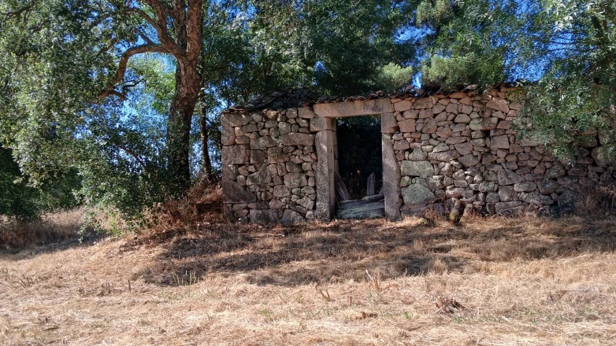 Quinta para Venda em Póvoa de Rio de Moinhos e Cafede