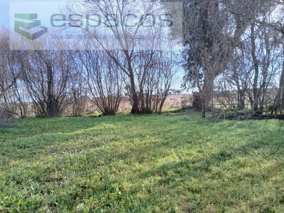 Terreno Agricola ou Rústico para Venda em Póvoa de Atalaia e Atalaia do Campo Foto 2