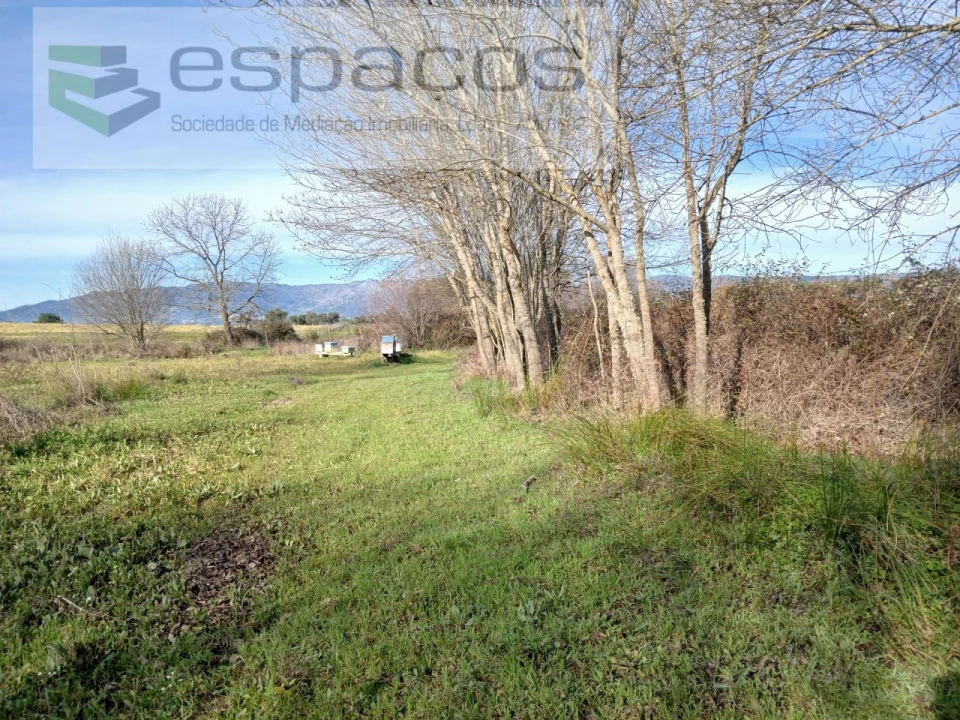 Terreno Agricola ou Rústico para Venda em Póvoa de Atalaia e Atalaia do Campo Foto 8