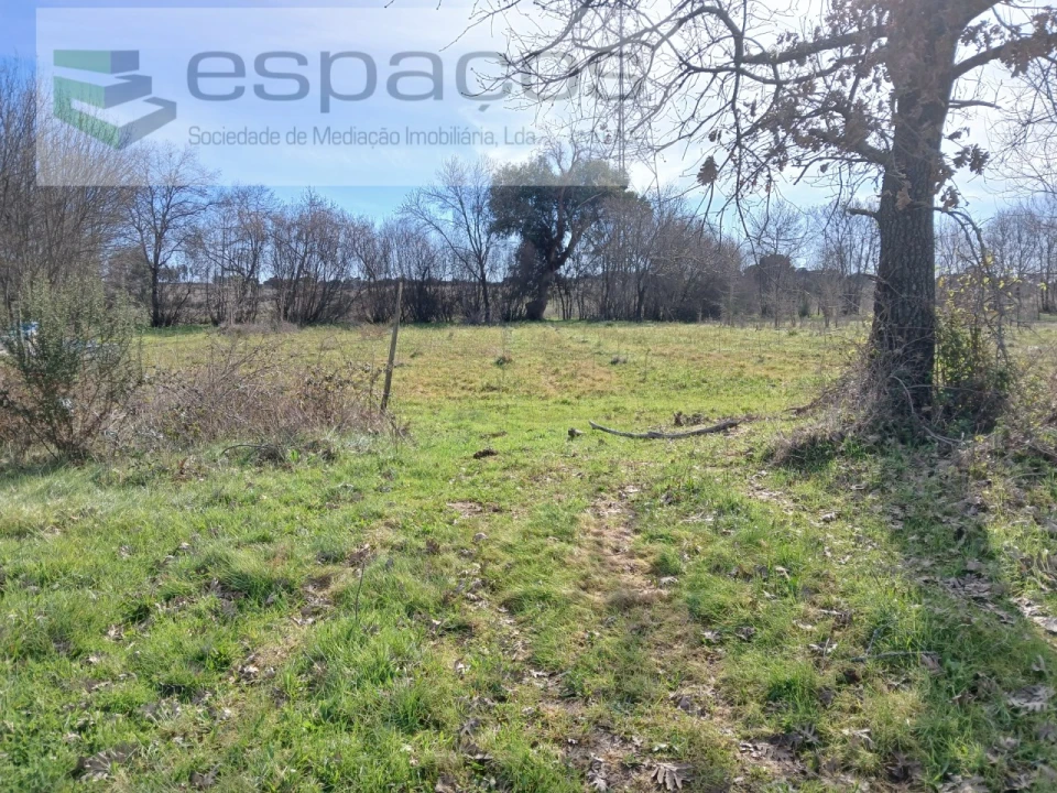 Terreno Agricola ou Rústico para Venda em Póvoa de Atalaia e Atalaia do Campo Foto 1