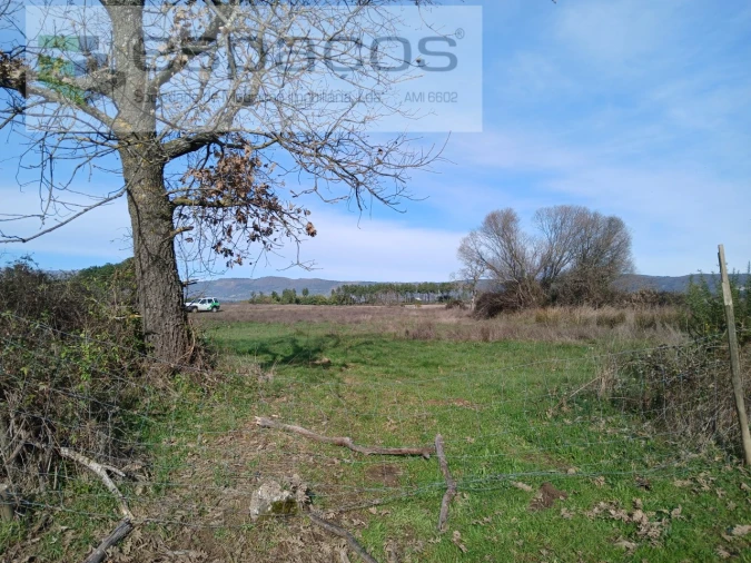 Terreno Agricola ou Rústico para Venda em Póvoa de Atalaia e Atalaia do Campo Foto 5