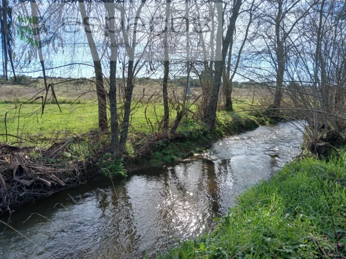 Terreno Agricola ou Rústico para Venda em Póvoa de Atalaia e Atalaia do Campo Foto 3