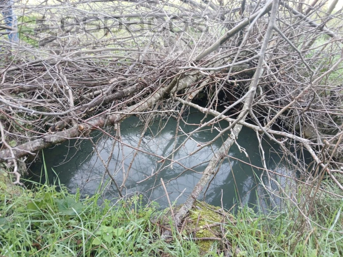 Terreno Agricola ou Rústico para Venda em Póvoa de Atalaia e Atalaia do Campo Foto 6