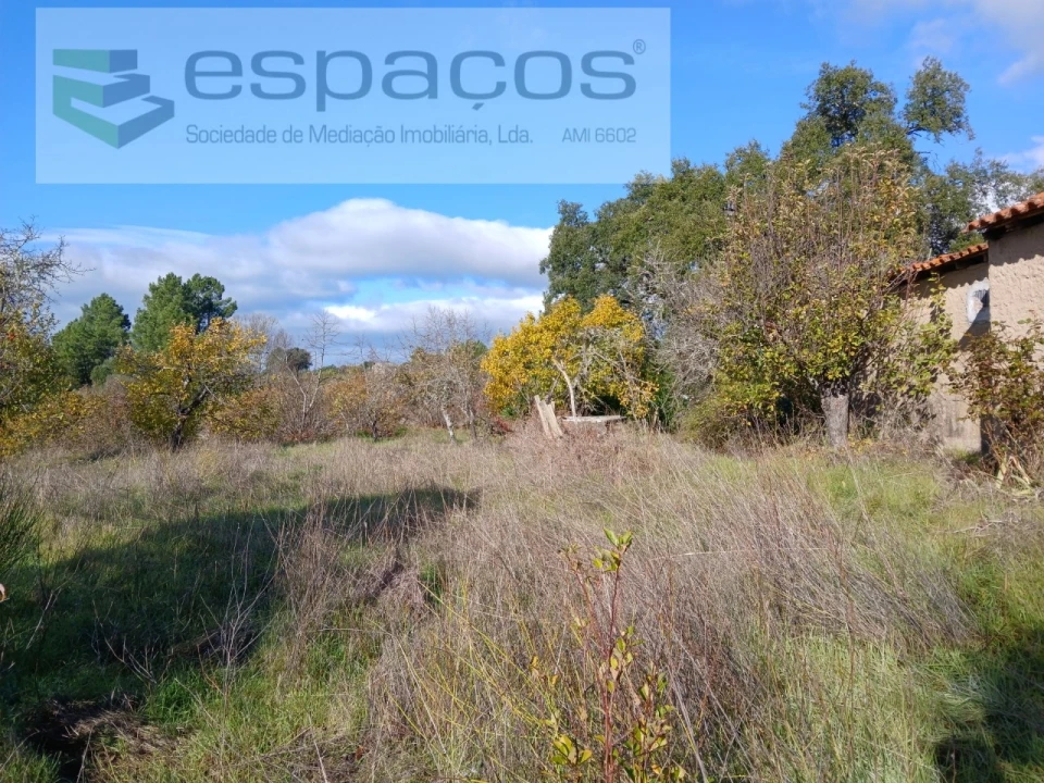 Quinta T1 para Venda em Freixial e Juncal do Campo Foto 4