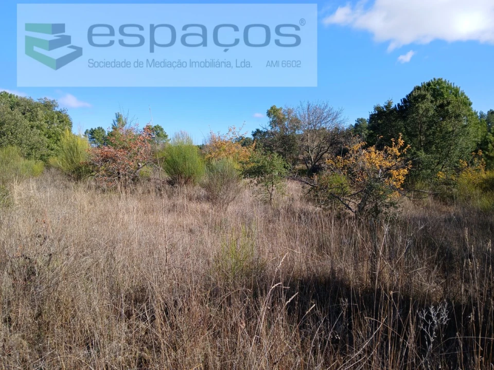 Quinta T1 para Venda em Freixial e Juncal do Campo Foto 10