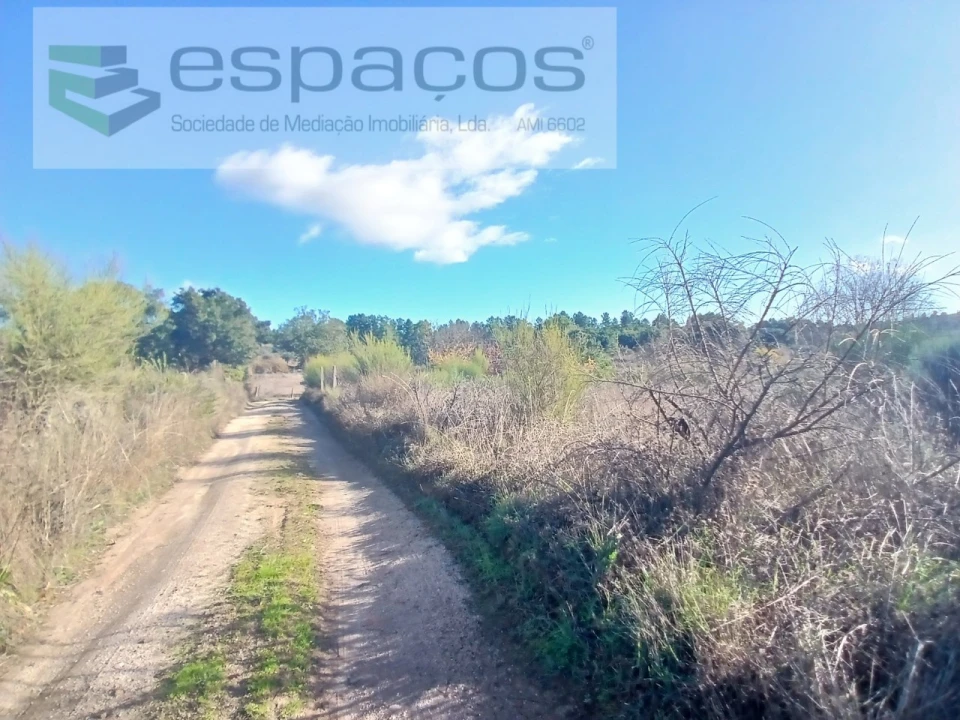 Quinta T1 para Venda em Freixial e Juncal do Campo Foto 11