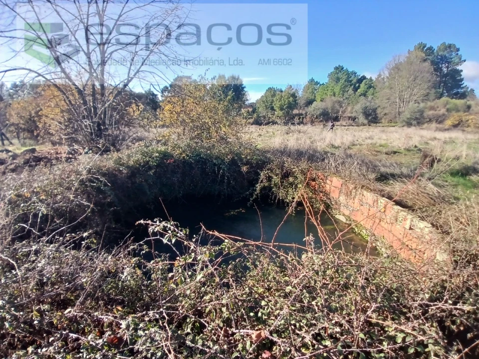 Quinta T1 para Venda em Freixial e Juncal do Campo Foto 13