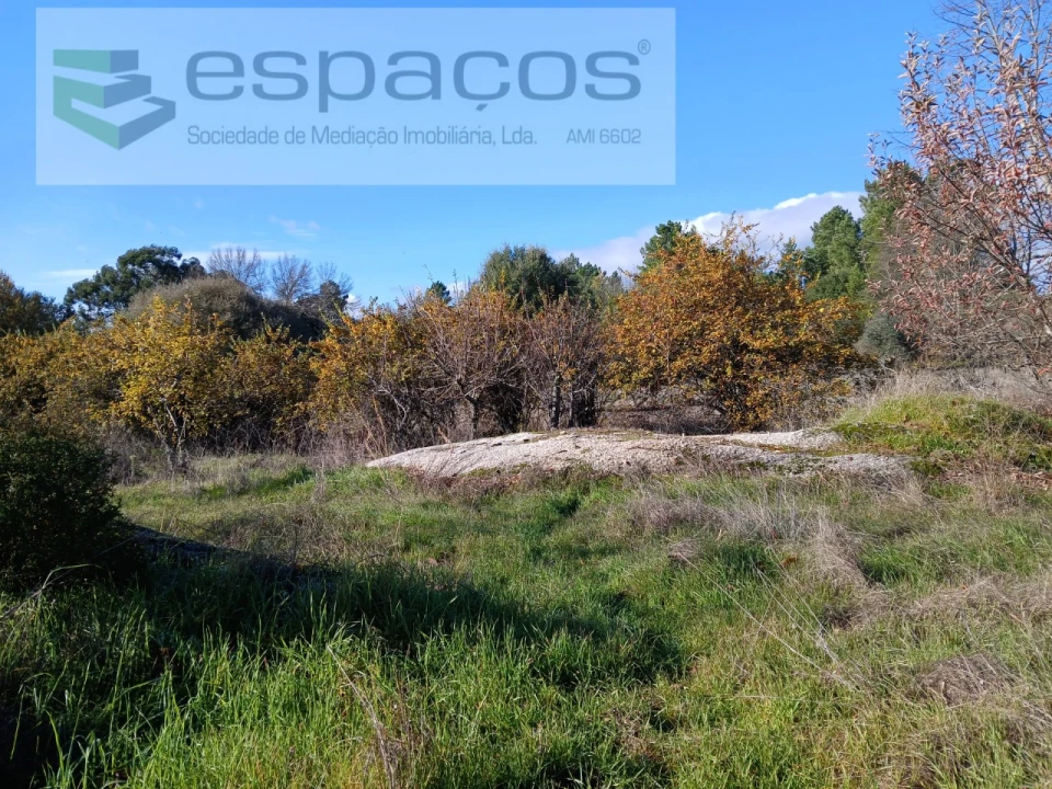 Quinta T1 para Venda em Freixial e Juncal do Campo Foto 15