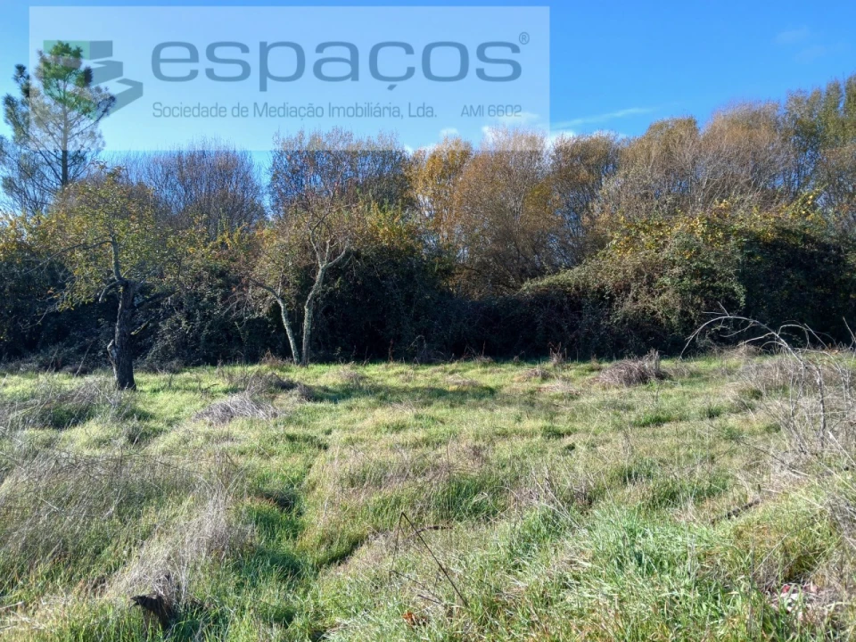 Quinta T1 para Venda em Freixial e Juncal do Campo Foto 19