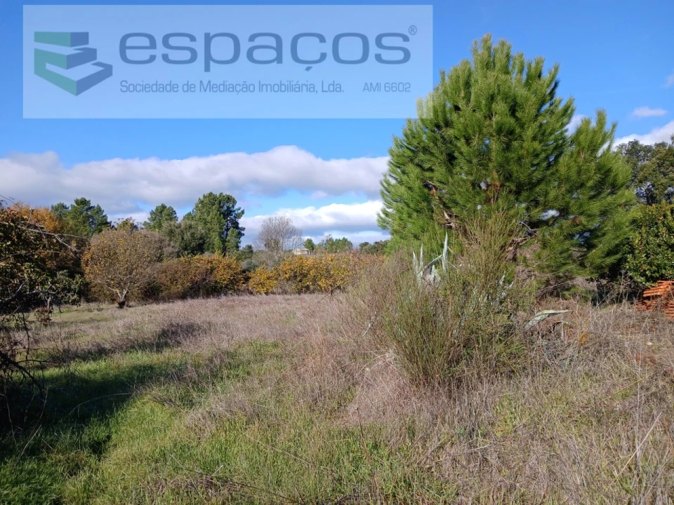 Quinta T1 para Venda em Freixial e Juncal do Campo Foto 20