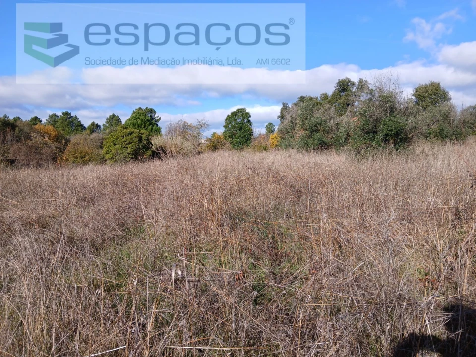 Quinta T1 para Venda em Freixial e Juncal do Campo Foto 21