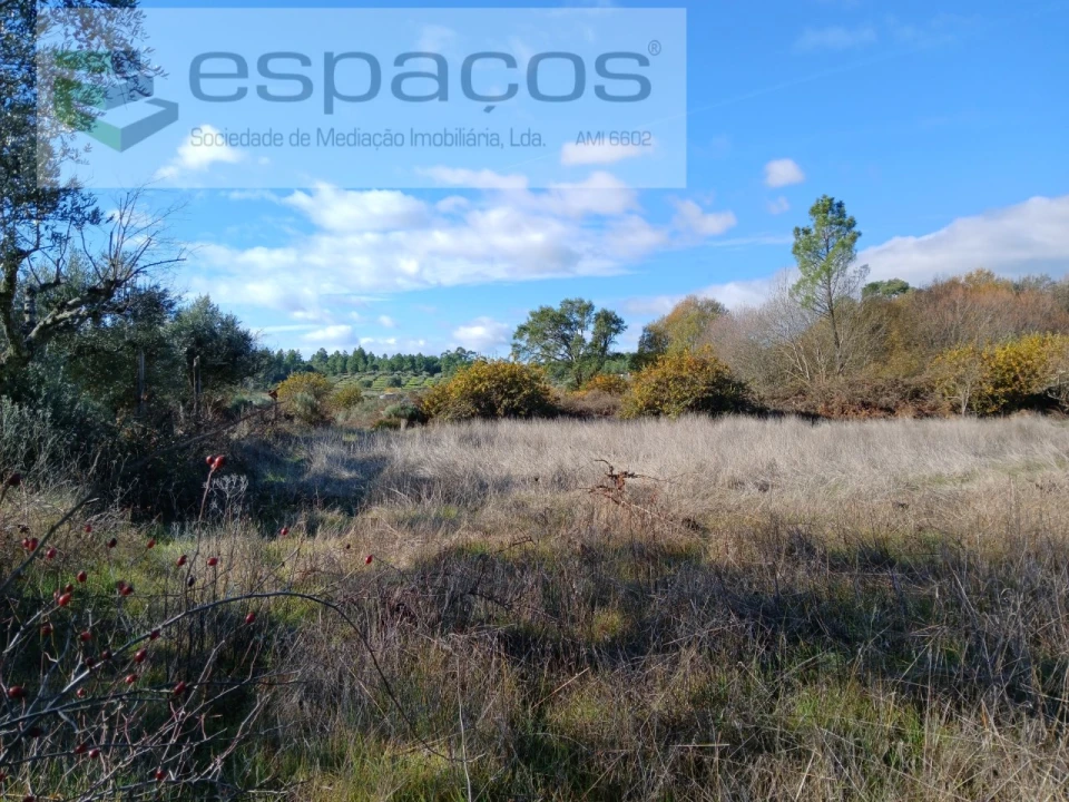 Quinta T1 para Venda em Freixial e Juncal do Campo Foto 22