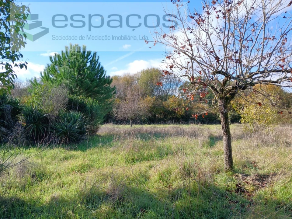 Quinta T1 para Venda em Freixial e Juncal do Campo Foto 25